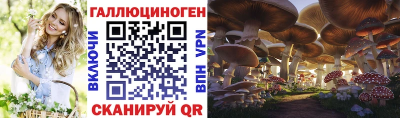 Купить закладки  Кириши  Псилоцибиновые грибы Psilocybe 